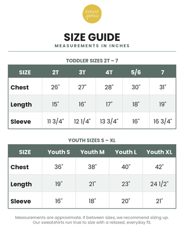 Denver James Rad Kids Crew Sweatshirt size guide - toddler and youth chest, length, and sleeve measurements in inches